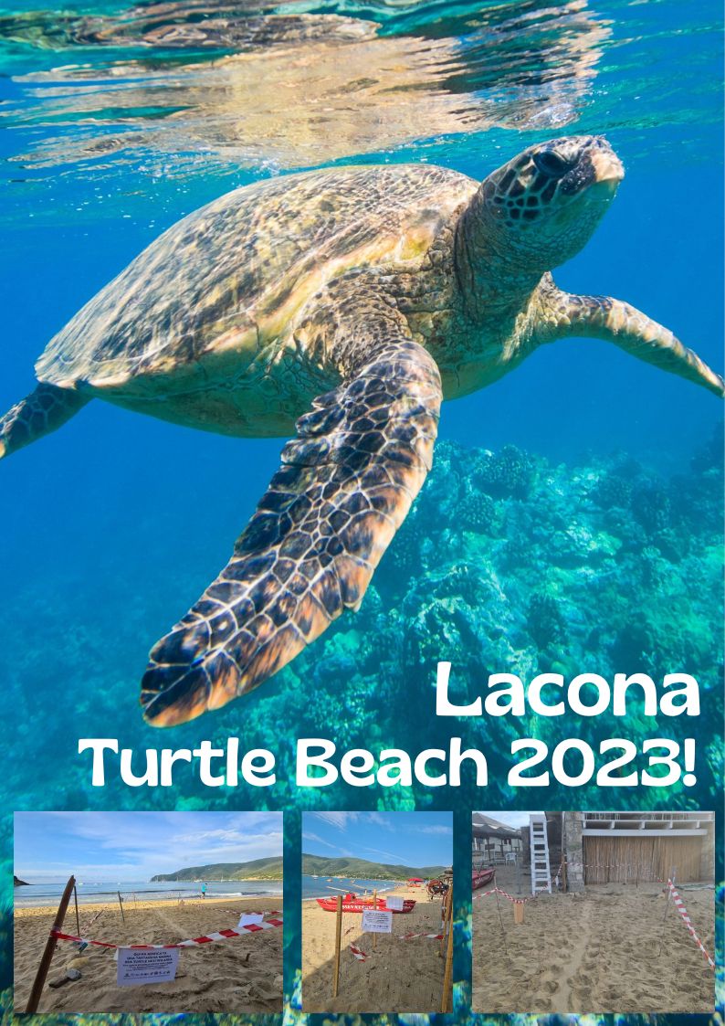 Benvenuti Mini Hotel 2022